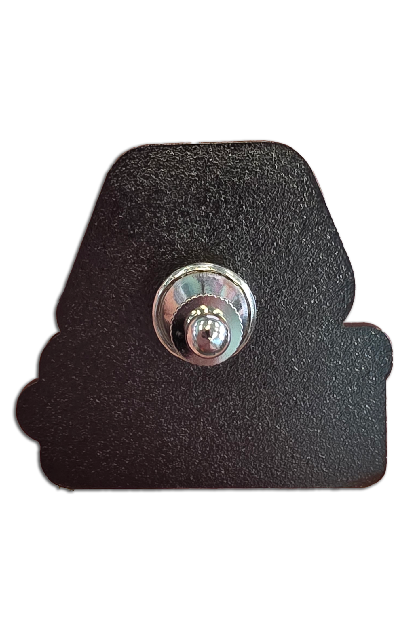 Pioneer 100 Year 1.5 inch Lapel Pin
